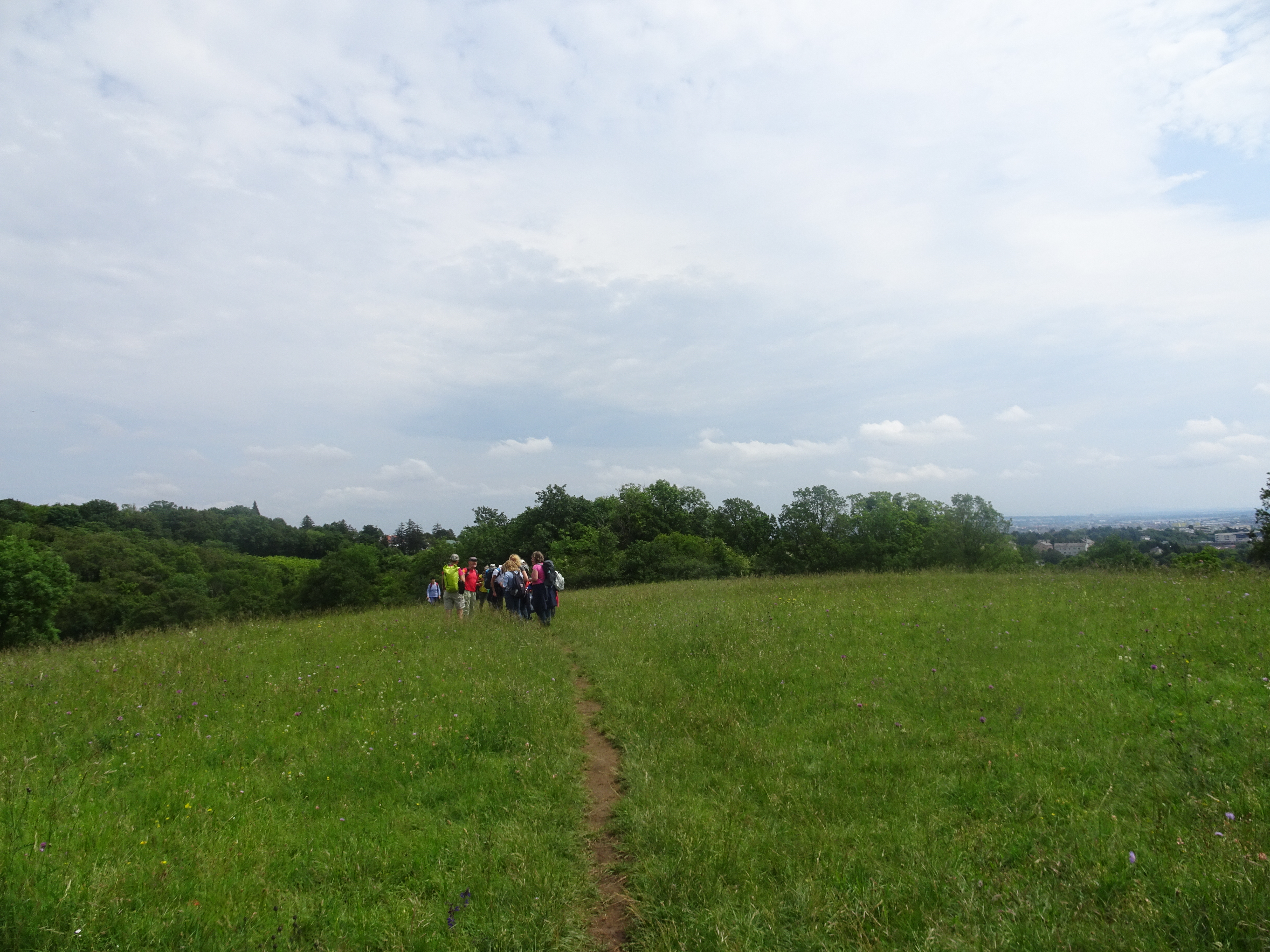 Kräuterwanderung Horizont